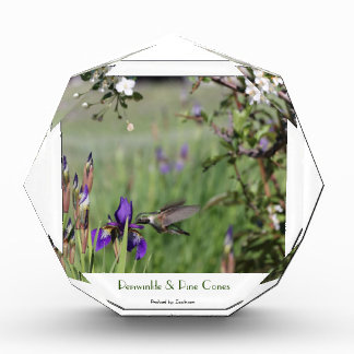 Hummingbird feeding on purple iris in flight photo block