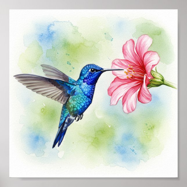 Hummingbird Feeding Poster (Front)