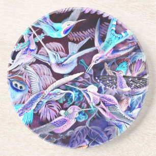 Hummingbird Fine Art Sandstone Coaster