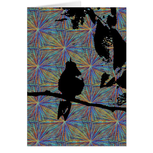 Hummingbird Fireworks Cards (Front)