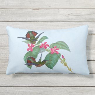 Hummingbird Flower Sky Blue Outdoor Lumbar Pillow