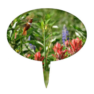 Hummingbird Flowers Cake Topper