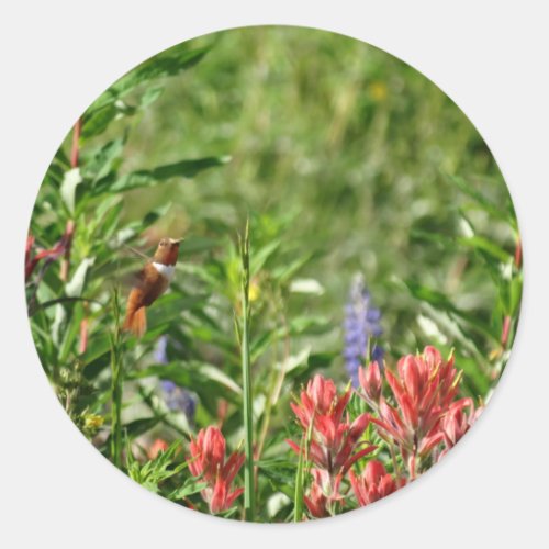 Hummingbird Flowers Classic Round Sticker