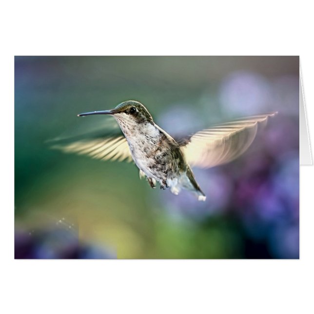 Hummingbird Flying Cards (Front Horizontal)