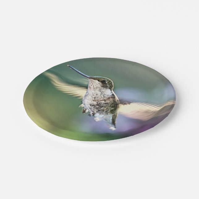 Hummingbird Flying Paper Plates (Angled)