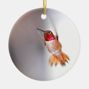 Hummingbird Flying Photo Ceramic Ornament