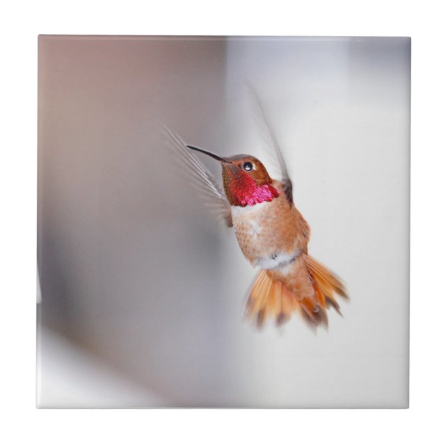 Hummingbird Flying Photo Tile (Front)
