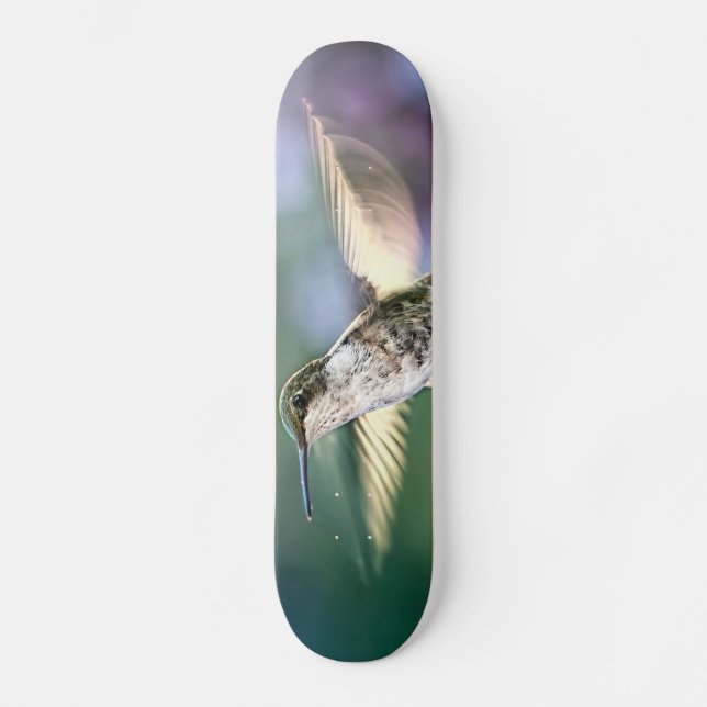 Hummingbird Flying Skateboard (Front)