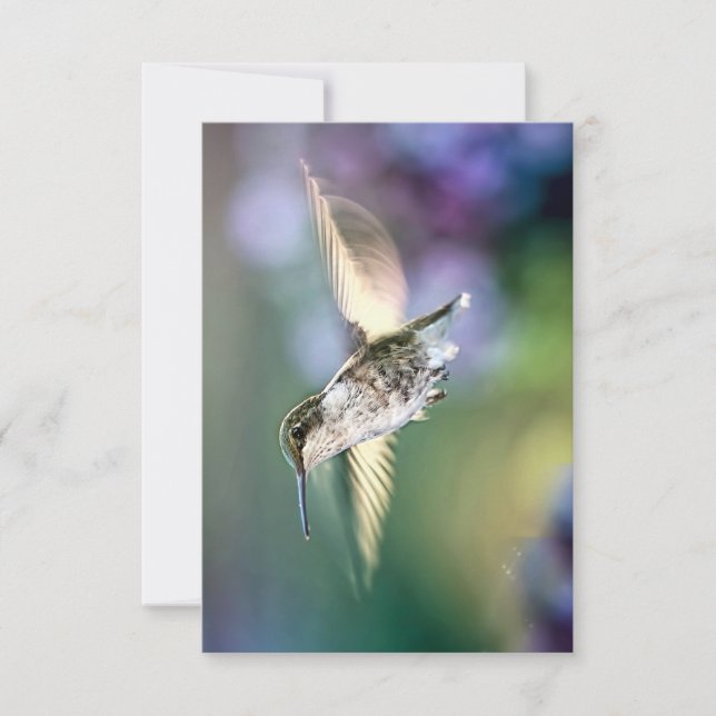 Hummingbird Flying Thank You Card (Front)