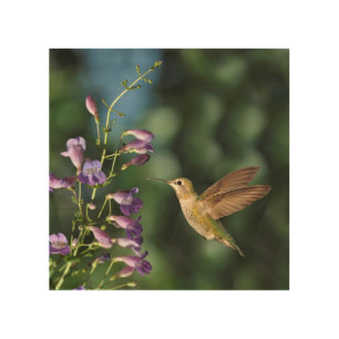 Hummingbird Flying With Flowers Wall Art