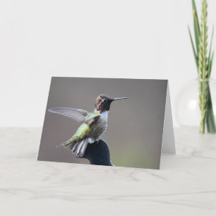 Hummingbird Frameable Art Card