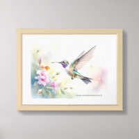 Hummingbird