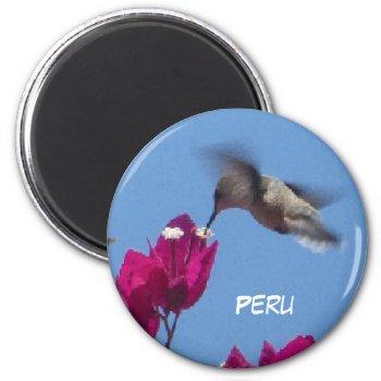 Hummingbird From Peru Magnet by Edelhertdesigntravel at Zazzle