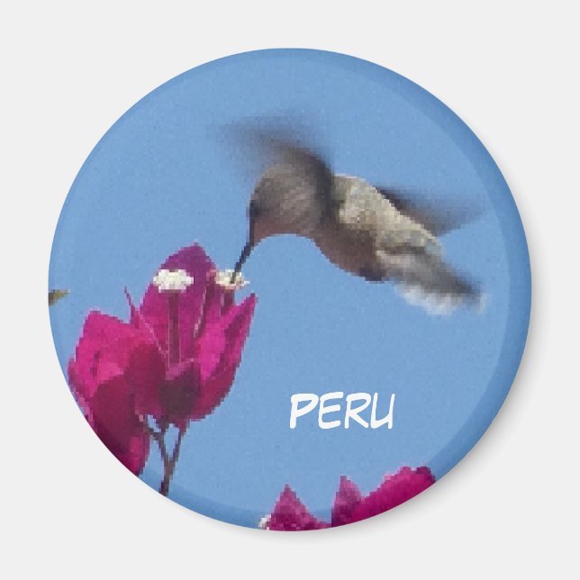 Hummingbird from Peru Magnet (Front)