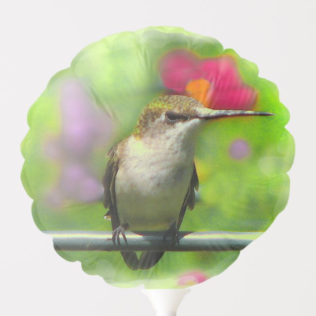 Hummingbird Garden Green Floral Balloon