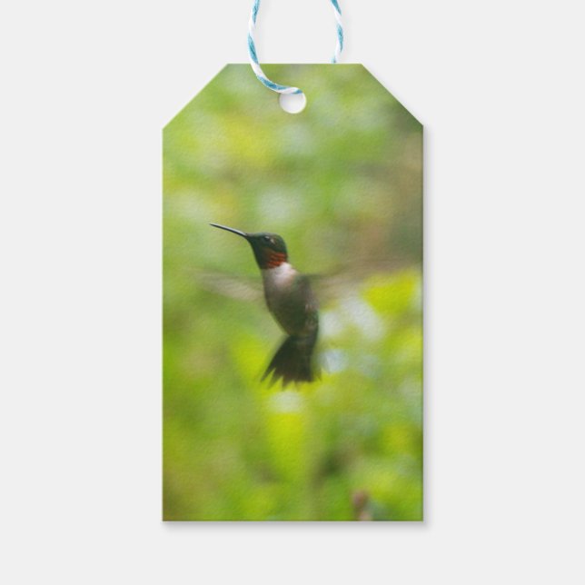 Hummingbird gift tag (Front)