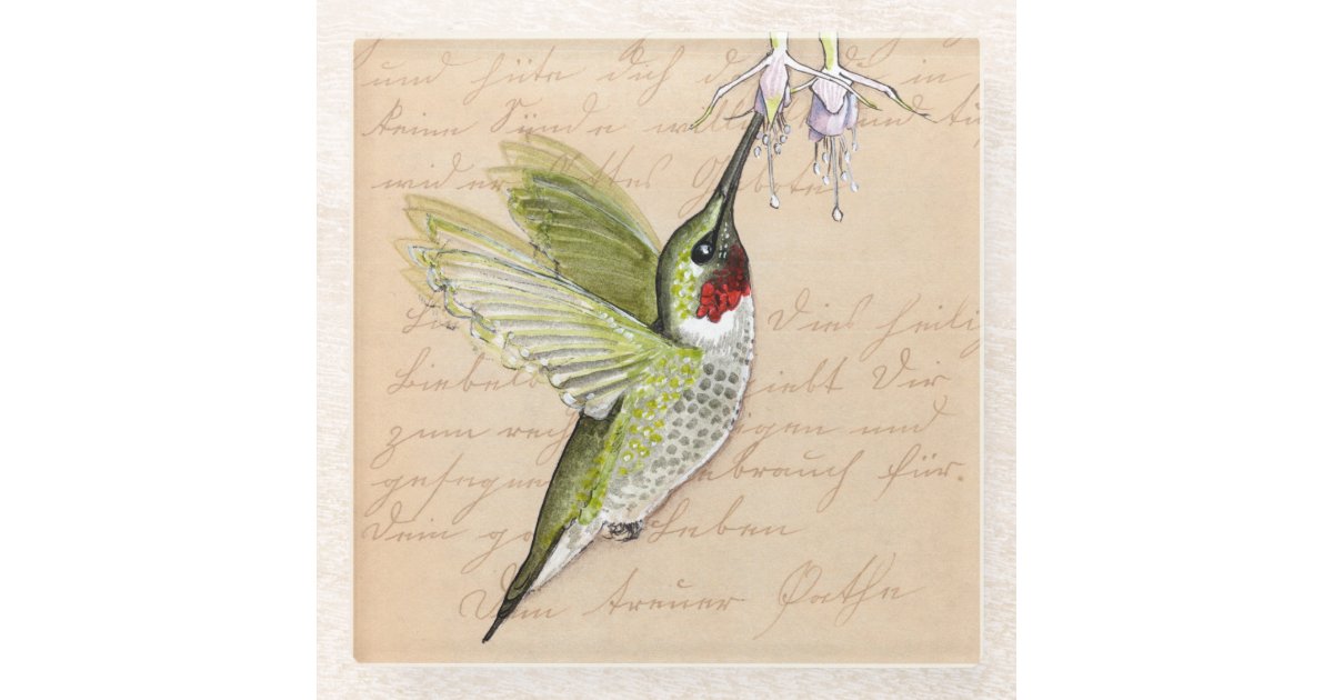 Hummingbird Glass Coaster | Zazzle