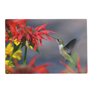 Hummingbird Glory Placemat