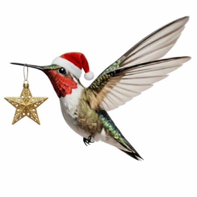 Hummingbird & Gold Star Bird Christmas Ornament (Front)