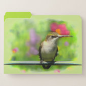 Hummingbird Green File Folder Set (Front Left)