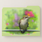 Hummingbird Green File Folder Set (Back Left)