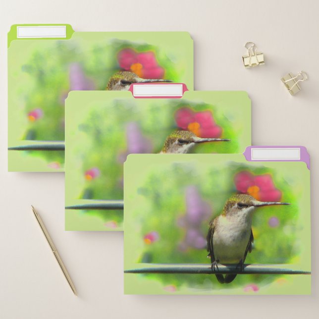 Hummingbird Green File Folder Set (Set)