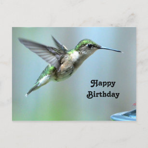 Hummingbird Green Flight Photo Wildlife Birthday Postcard