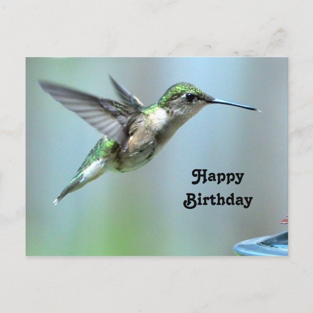 Hummingbird Green Flight Photo Wildlife Birthday Postcard (Front)