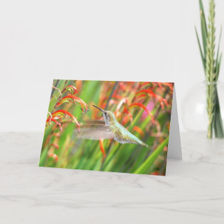 Hummingbird Greeting Card