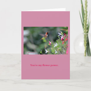 Hummingbird Greeting card