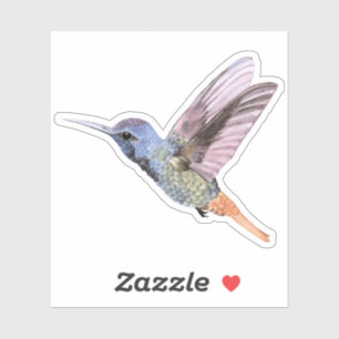 Hummingbird hand drawn Sticker
