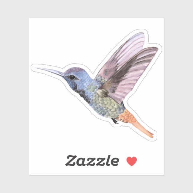  Hummingbird hand drawn Sticker (Sheet)