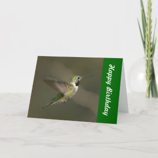 Hummingbird Happy Birthday Card
