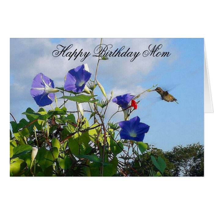 Hummingbird Happy Birthday Mother Card