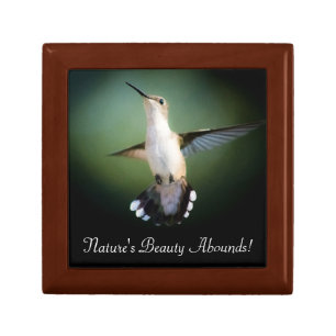 Hummingbird Haven Gift Box