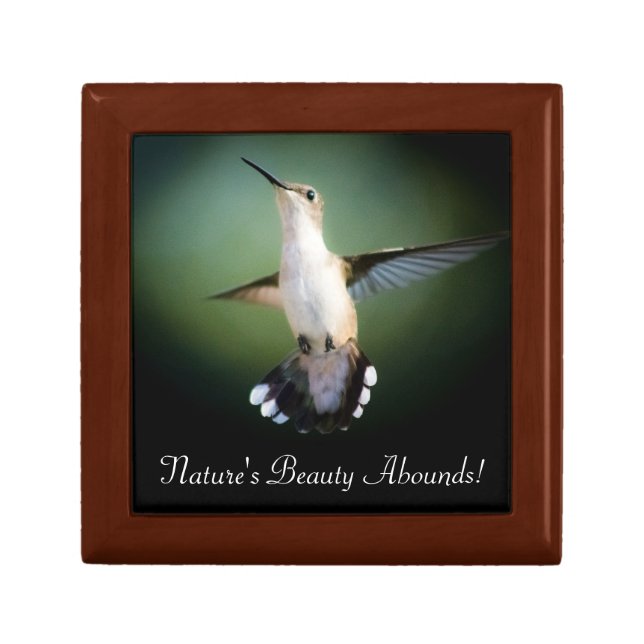 Hummingbird Haven Gift Box (Front)