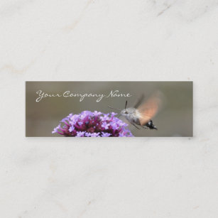 Hummingbird hawk-moth business card