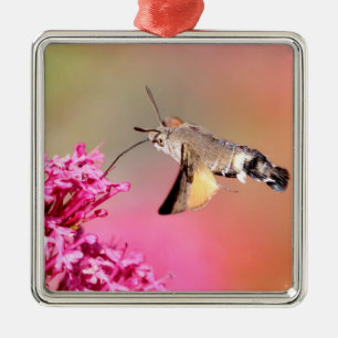Hummingbird Hawk-moth butterfly in flight Metal Ornament