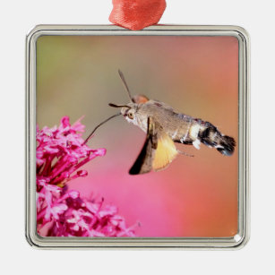 Hummingbird Hawk-moth butterfly in flight Metal Ornament
