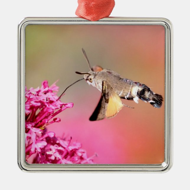 Hummingbird Hawk-moth butterfly in flight Metal Ornament (Front)