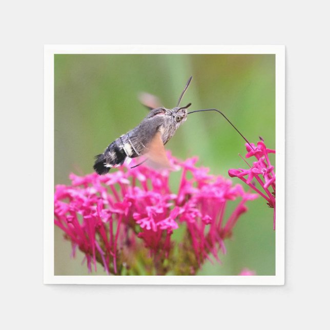 Hummingbird Hawk-moth butterfly in flight  Napkins (Front)