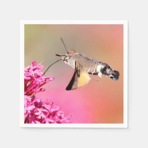 Hummingbird Hawk_moth butterfly in flight Napkins