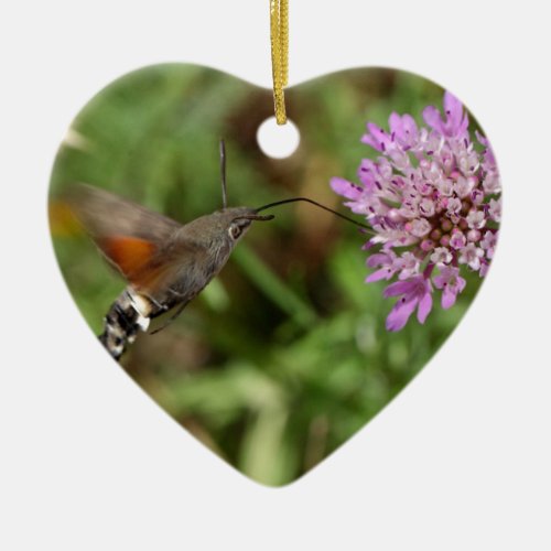 Hummingbird hawk_moth Macroglossum stellatarum Ceramic Ornament
