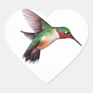 Hummingbird Heart Sticker
