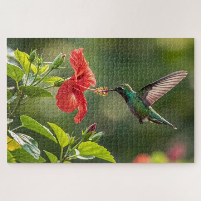 Hummingbird Hibiscus Puzzle - Vibrant Tropic Art (Horizontal)