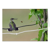 Hummingbird & Honey Bee (Front Horizontal)