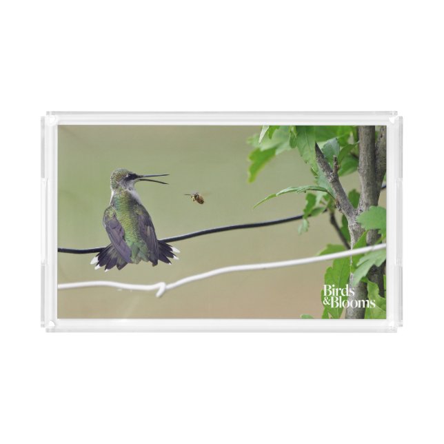 Hummingbird & Honey Bee Acrylic Tray (Front)