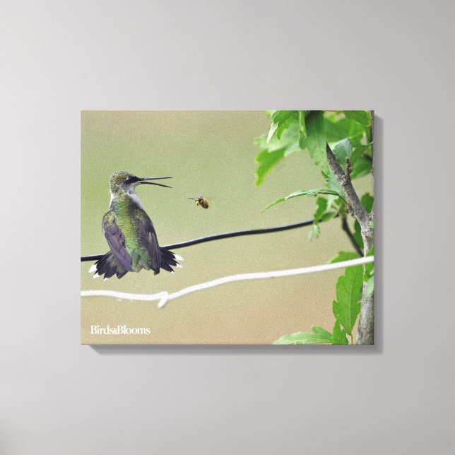 Hummingbird & Honey Bee Canvas Print (Front)