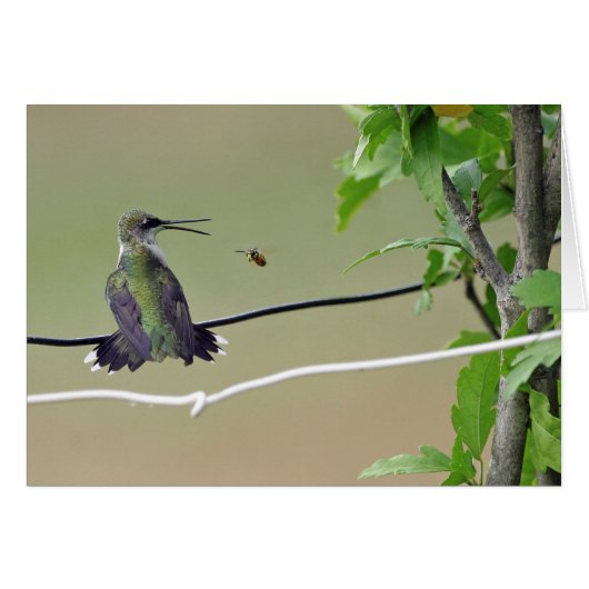Hummingbird & Honey Bee Cards (Front Horizontal)