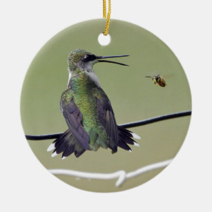 Hummingbird & Honey Bee Ceramic Ornament